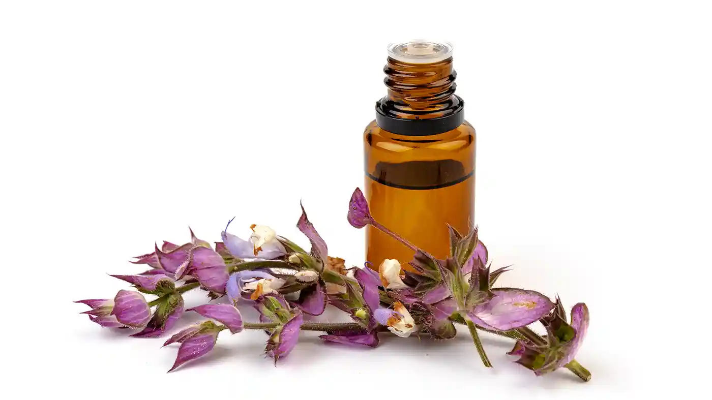 Clary Sage flowers with amber glass bottle