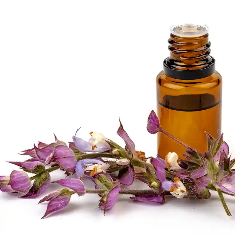 Clary Sage flowers with amber glass bottle