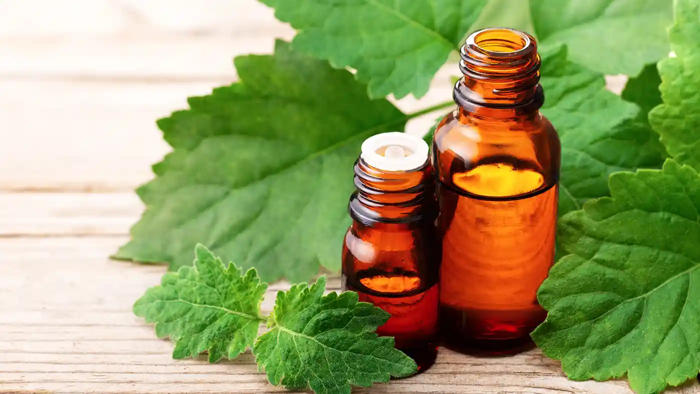 Patchouli leaves with amber glass bottle